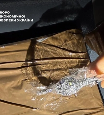 Викрито схему контрабанди предметів розкоші з Польщі