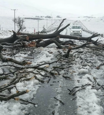 У Південній Африці від зимової негоди загинули майже пів сотні людей