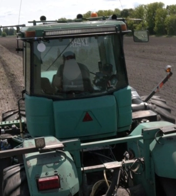 «Так і виживаємо»: через дощі у господарстві на Волині пізно почали сіяти гречку