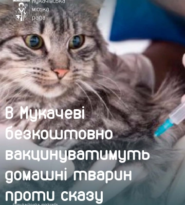 У Мукачеві безкоштовно вакцинуватимуть домашніх тварин проти сказу. ПЕРЕЛІК АДРЕС