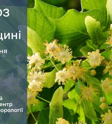 Синоптики розповіли, коли на Рівненщину повернеться тепло
