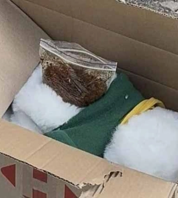 У Миколаєві затримали рецидивіста з наркотиками, схованими в дитячій іграшці