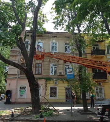 В Одесі сильний вітер повалив дерева та гілки 