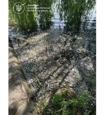 У річці Случ на Житомирщині загинуло 28 тонн риби