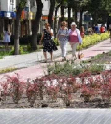 «Багаторічники - прикраса міста в будь-яку пору року»: в Луцьку урбаністи говорили про озеленення