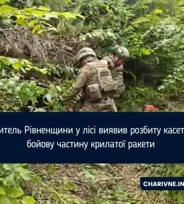 На Рівненщині знешкодили суббоєприпаси від збитої крилатої ракети (ВІДЕО)