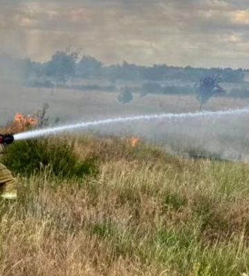 На Херсонщині за добу зафіксували дев’ять пожеж в екосистемах