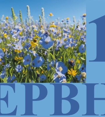 Сьогодні 15 червня: яке свято та день в історії