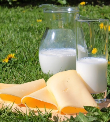 Україна наростила експорт молочних продуктів в травні
