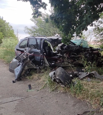 На Одещині водій на BMW влетів у дерево і вбив свого пасажира