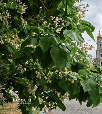 Новини Харкова — головне за 16 червня: як минула ніч