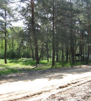 На Волині біля озера та посеред лісу продають землю за 7 мільйонів (Фото)