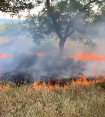 В Одесі на Трасі здоров’я перехожі самостійно загасили пожежу
