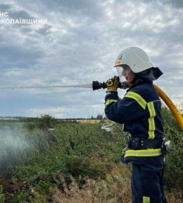 Пожежі в Миколаївській області: суха трава, сміттєвий контейнер і підгоріла їжа в квартирі
