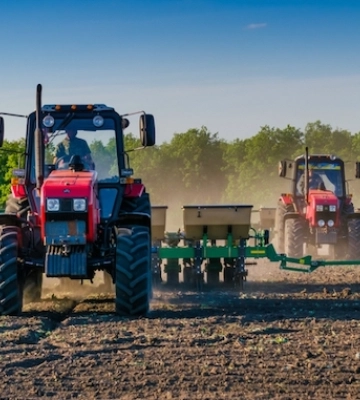 Озиминою на Кіровоградщині засіють понад 480 тис. га