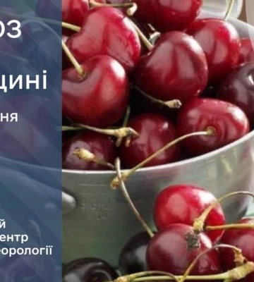 Вночі Волинь накриє потужний вітер і страшна гроза