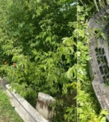 У Луцьку на мосту водій авто пробив огорожу і злетів у кювет