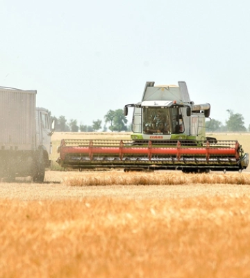 У Tekom Agro Group стартували жнива