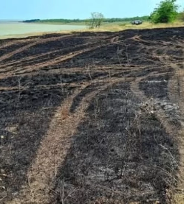 На Одещині сталася пожежа в Нацпарку «Тузлівські лимани»: загорілася унікальна степова ділянка