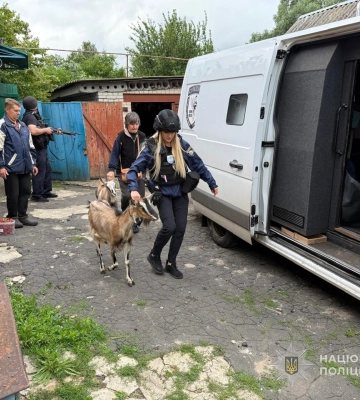 "Білі янголи" врятували жінку з домашніми тваринами з прикордоння Сумщини