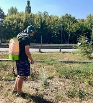 Цьогоріч у Полтаві виділили 5 млнгрн на боротьбу з амброзією