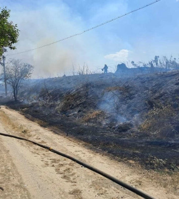 У Випасному Білгород-Дністровського району масштабна пожежа сухої трави ледь не спричинила загоряння житлових будинків