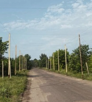 В Сумской области покрывают дороги антидроновыми сетками - ОВА