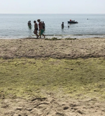 На Одещині після відкриття пляжного сезону на міні підірвалися двоє людей, - мережа