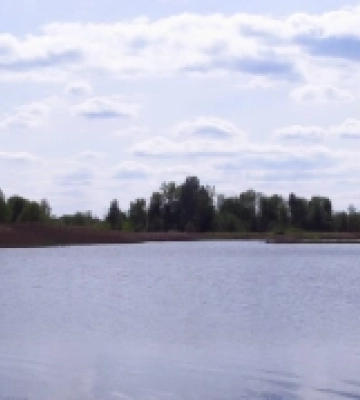 В Україні стартував процес створення нового національного парку «Ірдинське болото»