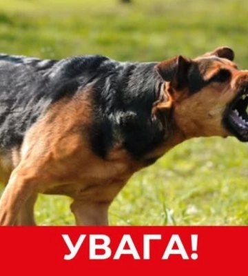 Село на Дніпропетровщині закрили на карантин через сказ у собаки