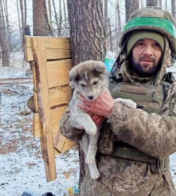 Загинув житель Берегівської тергромади