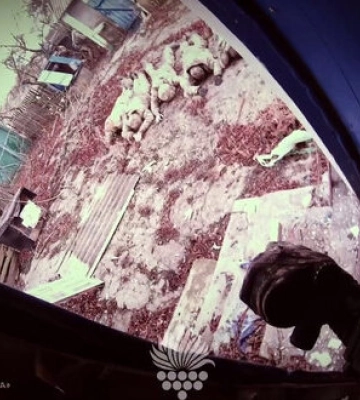 Бійці “Червоної Калини” захопили в полон п’ятьох російських військових на Донеччині