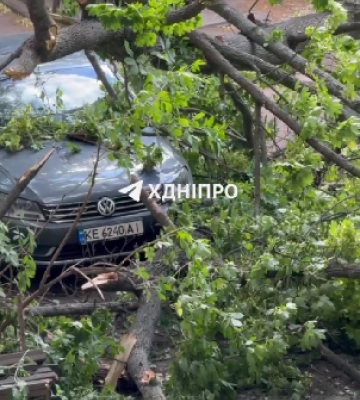 Небезпека вирує у Дніпрі: електроопора розчавила авто, а дерево впало в дитсадку