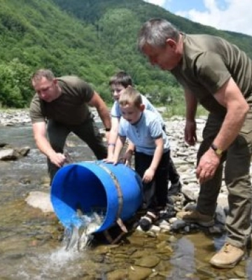 Струмкова форель у річках Закарпаття