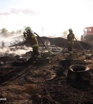 Масштабна пожежа на Миколаївщині: полум&#039;я загрожувала будинкам