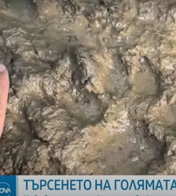 У горах Болгарії блукає чорний леопард: небезпечну ділянку перекрили, розставили пастки, тварину шукають 100 поліцейських і мисливців