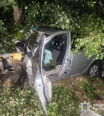 На Житомирщині легковик вилетів з траси та врізався у дерево, водій загинув на місці
