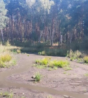 Як у Харківській області звільняють землю від мін