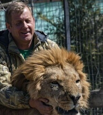 На кримського зрадника Зубкова, який викрадав тварин із ТОТ України, напав лев: він у тяжкому стані. ВIДЕО
