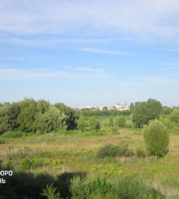 На Волині посадовця Держгеокадастру підозрюють у продажу заповідних гектарів на 6,3 млн грн