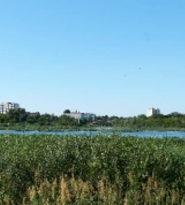 У Луцьку посадовця Держгеокадастру підозрюють у незаконній передачі землі природоохоронного фонду