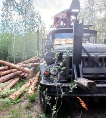 Майже 15 кубів деревини, трактори та вантажівка: на Рівненщині правоохоронці виявили «чорних» лісорубів