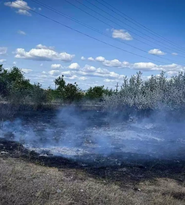 На Закарпатті знову масово палає сухостій