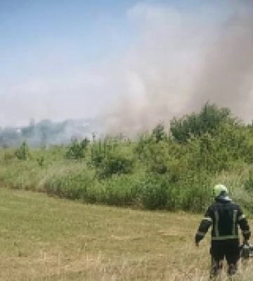Рекордна кількість пожеж в екосистемах: за вихідні — понад два десятки загорянь на Закарпатті