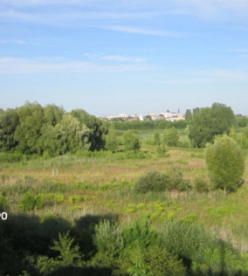 На Волині посадовця Держгеокадастру підозрюють у продажу заповідних гектарів на 6,3 млн грн