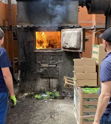 До Києва завезено салат з Італії, заражений західним квітковим трипсом