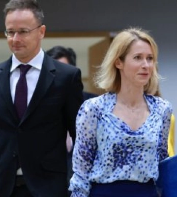 Скандал у Брюсселі: Угорщина вимагає відновлення прав угорців Закарпаття