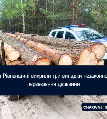 На Рівненщині викрили три випадки незаконного перевезення деревини