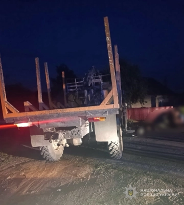 На Волині суд виправдав водія у справі про збитого лося, бо він збив косулю в іншому місці