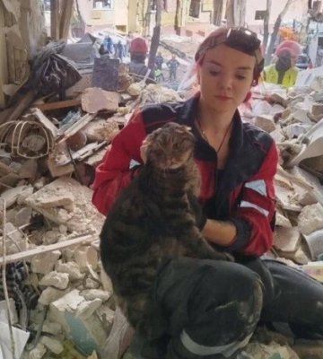 Обстріл п’ятиповерхівки на Сирці: з-під завалів врятовано живого кота 